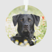 Schattigee Zwarte Labrador Retriever Kerstman Ornament (achterkant)