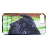 Schattigee zwarte mopshond met attitude foto Case-Mate iPhone case (Achterkant (Horizontaal))