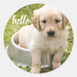 Schattigeste Hallo | Golden Retriever Puppy Dog Ronde Sticker