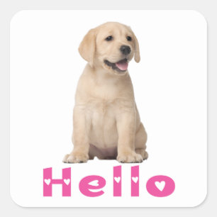 Schattigeste Hallo Labrador Retriever Puppy Dog Ye Vierkante Sticker