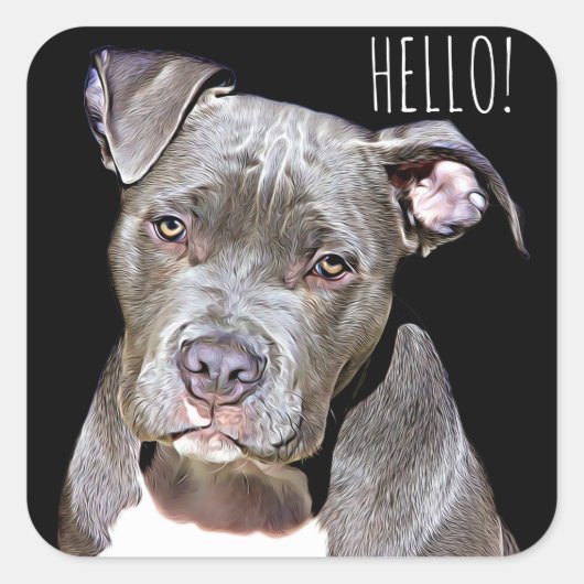 Schattigeste HALLO Sticker Pit Bull Dog (Voorkant)