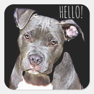 Schattigeste HALLO Sticker Pit Bull Dog