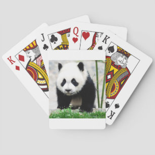 Schattigste Baby Dieren Baby Panda Beer Pokerkaarten