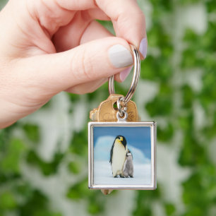 Schattigste baby dieren Keizerspinguïn kuiken Sleutelhanger