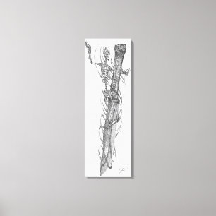 schedel 2 canvas afdruk