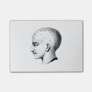  schedel Anatomie Grafiek Post Post-it® Notes