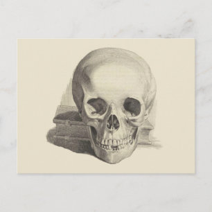 schedel en boek briefkaart