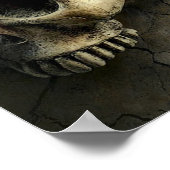 schedel en vlinder poster (Hoek)