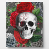 Schedel Fotoplaat (Voorkant)