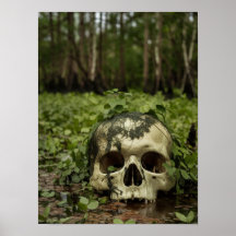 Schedel in het moeras Horror Print Poster Wall Art