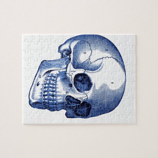  schedelanatomie legpuzzel (Horizontaal)