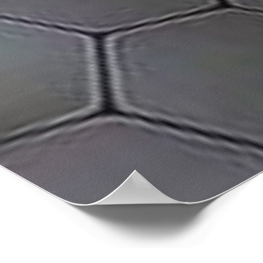 Schedellichaam Poster (Hoek)