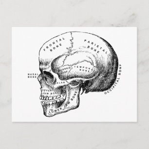 schedelprofiel herstellen briefkaart