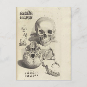 schedels briefkaart