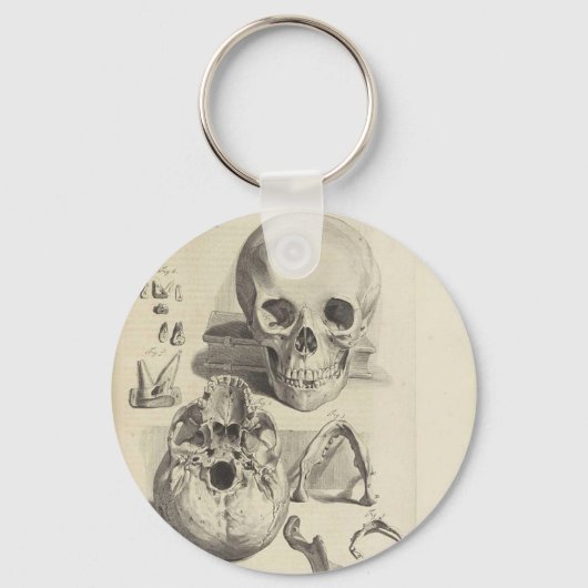 schedels sleutelhanger (Voorkant)