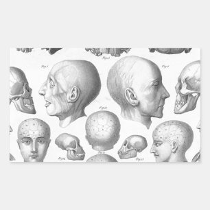Schedeltypen Rechthoekige Sticker