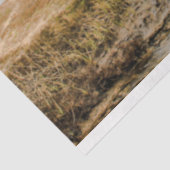 Scheepswrak Ocean 20x30 ontkoppeling Tissuepapier