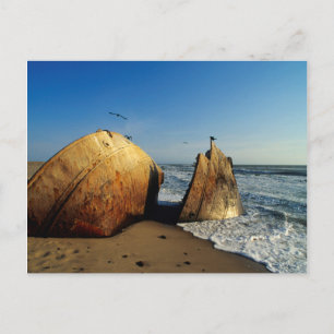 Scheepswrak op strand, Skeleton Coast, Namibië Briefkaart