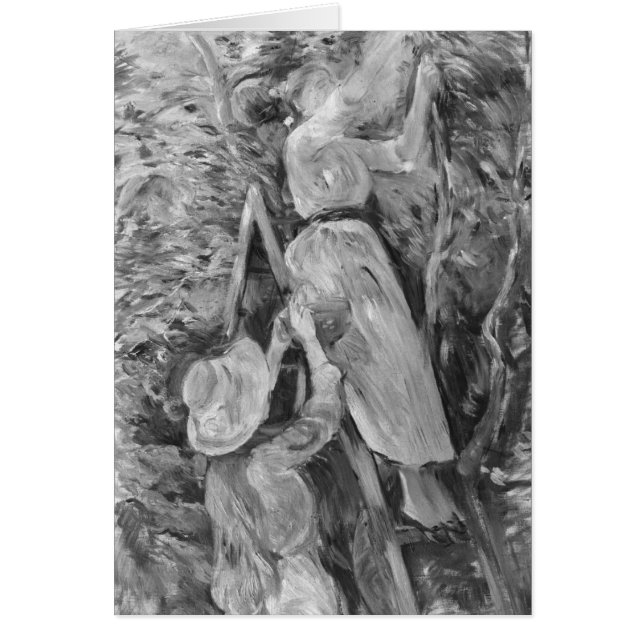 Scheerkersen, 1891 (Voorkant)