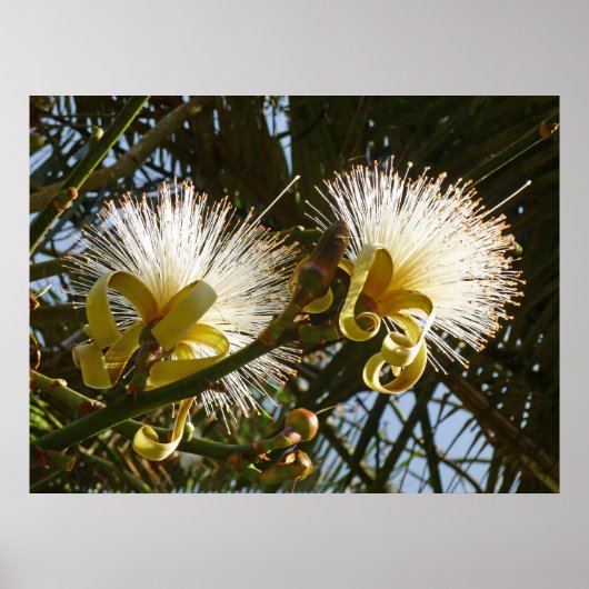 Scheerpenseelstructuur Poster (Voorkant)