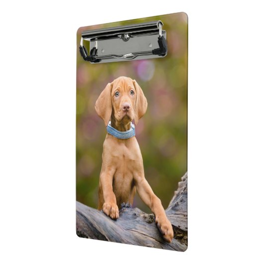 Scheerpups Hongaarse Vizsla Dog Puppy Photo // Mini Klembord (Angled2)