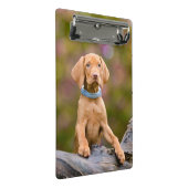 Scheerpups Hongaarse Vizsla Dog Puppy Photo // Mini Klembord (Schuin)