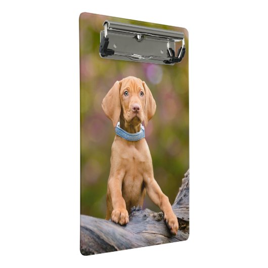 Scheerpups Hongaarse Vizsla Dog Puppy Photo // Mini Klembord (Schuin)