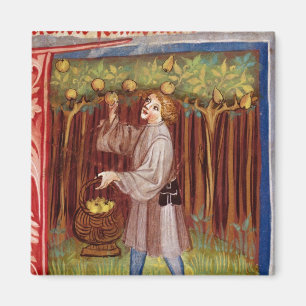 Scheervruchten Magneet