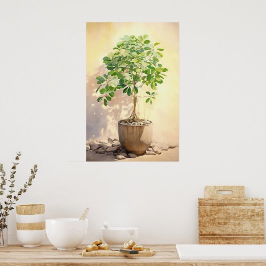 Schefflera Heptaphylla in Pot Poster (Keuken)