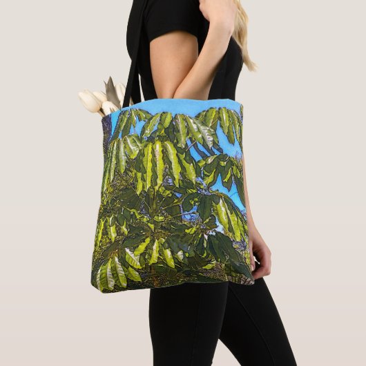 Schefflera Paraplu's Boodschaptas Draagtas (Dichtbij)