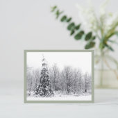 scheiding met zekerheid briefkaart (Staand voorkant)