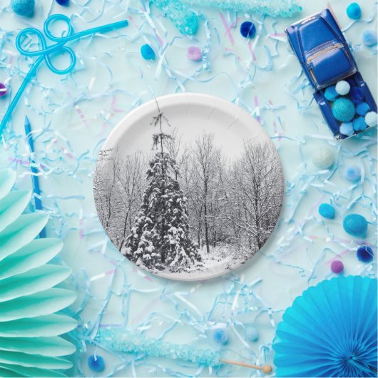 scheiding met zekerheid papieren bordje (Feest)