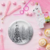 scheiding met zekerheid papieren bordje (Feest)