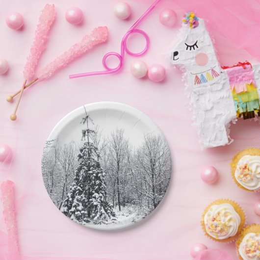 scheiding met zekerheid papieren bordje (Feest)