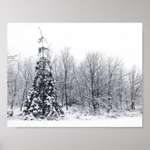 scheiding met zekerheid poster