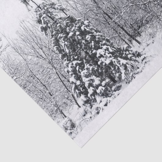 scheiding met zekerheid tissuepapier (Detail)