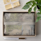 Scheiding van de fok- en ephemera tissuepapier (Geschenk)