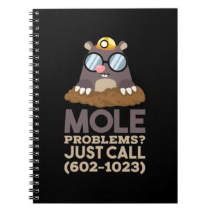 Scheikunde - Molproblemen Notitieboek