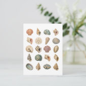 Schelp Collage Briefkaart (Staand voorkant)