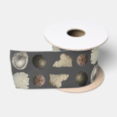 Schelp Extravaganza Lint (Spoel)