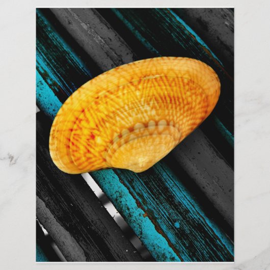 schelp flyer (Voorkant)