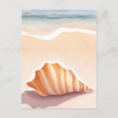 schelp | Ocean Seashell Coastal Beach Briefkaart (Voorkant)
