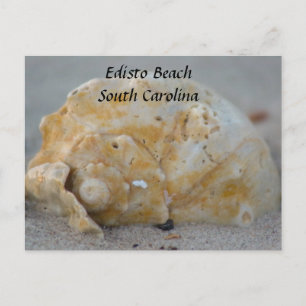 Schelp op het strand briefkaart
