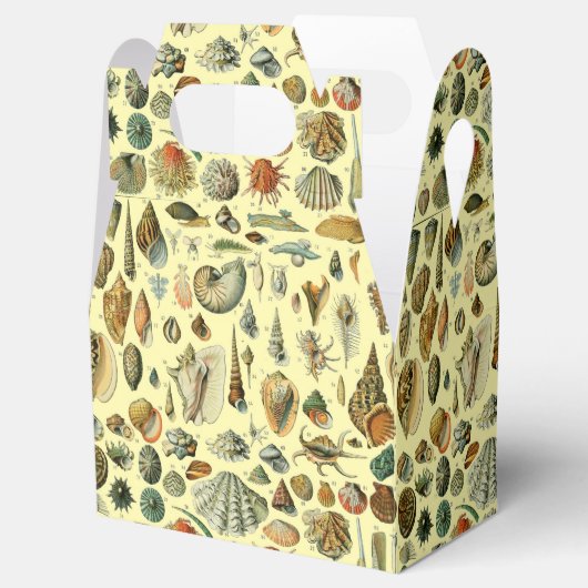 schelp schelp schelp schelp schelp elegante klassi bedankdoosjes (Geopend)