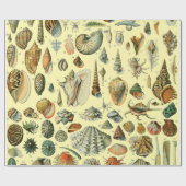 schelp schelp schelp schelp schelp elegante klassi cadeaupapier (Vlak)
