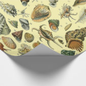 schelp schelp schelp schelp schelp elegante klassi cadeaupapier (Hoek)