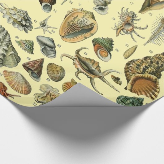 schelp schelp schelp schelp schelp elegante klassi cadeaupapier (Hoek)