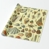 schelp schelp schelp schelp schelp elegante klassi cadeaupapier (Uitgerold)