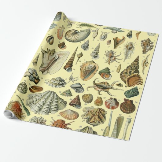 schelp schelp schelp schelp schelp elegante klassi cadeaupapier (Uitgerold)