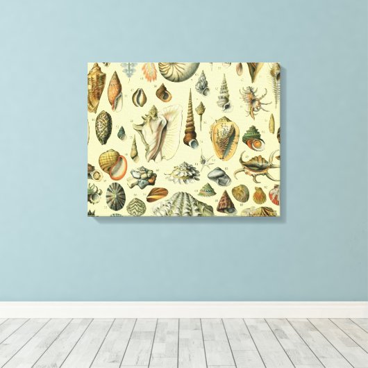 schelp schelp schelp schelp schelp elegante klassi canvas afdruk (Insitu (Houten vloer))